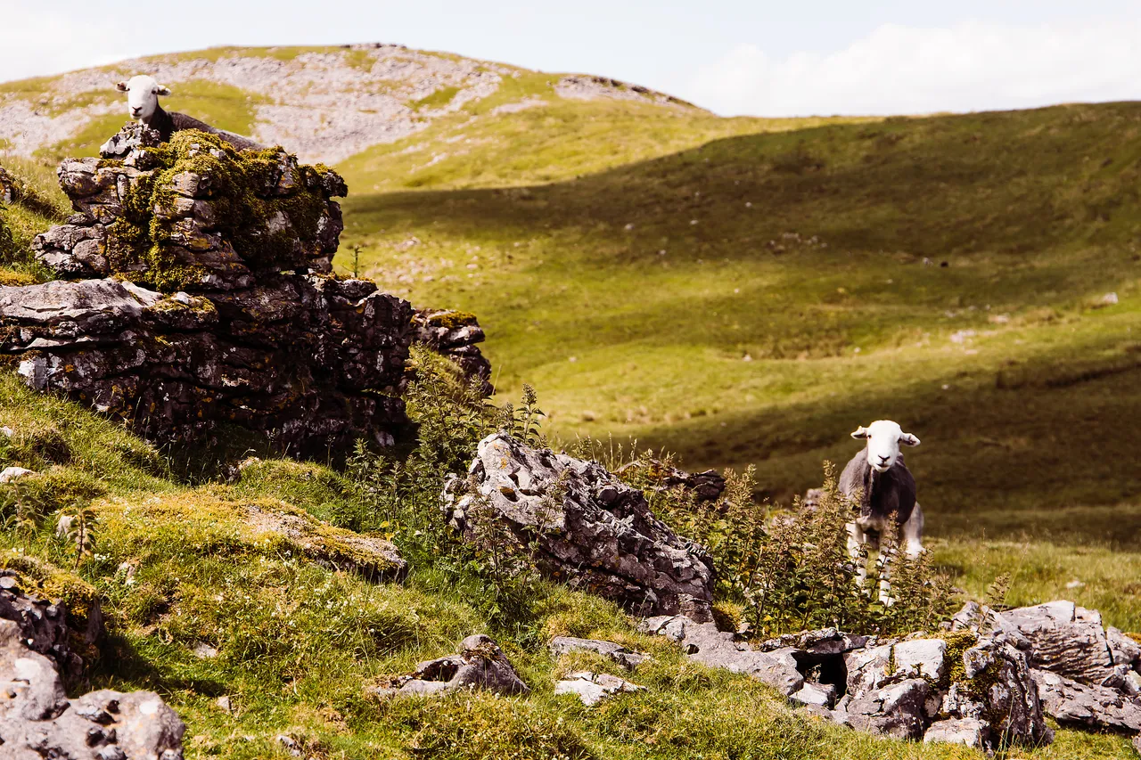 Geo Park, Brecon Beacons