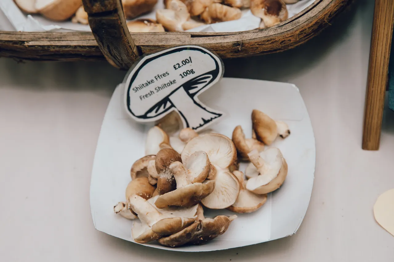 Portmeirion Food and Craft Fair, Snowdonia