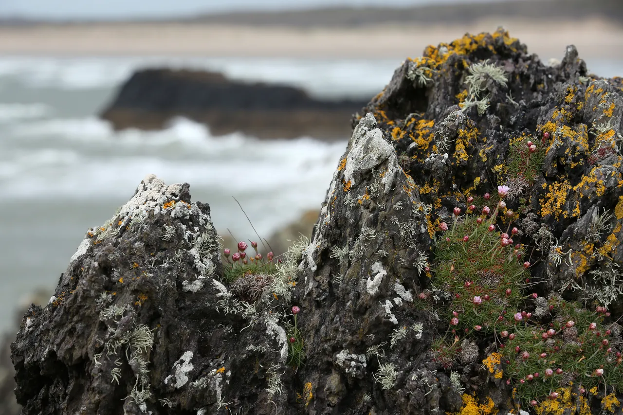 Llanddwyn Island and Newborough, Anglesey
