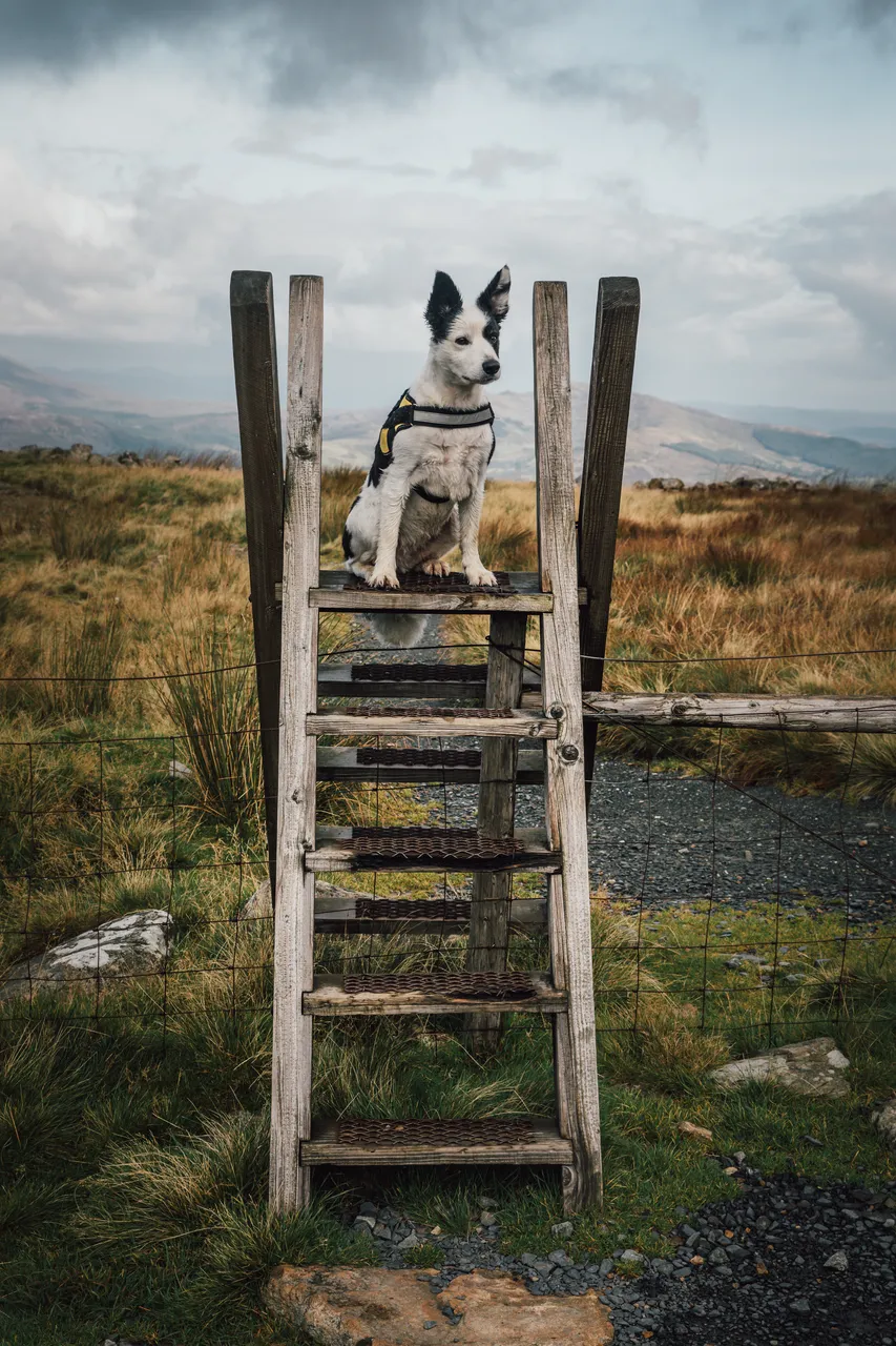 Cadair Idris, Snowdonia