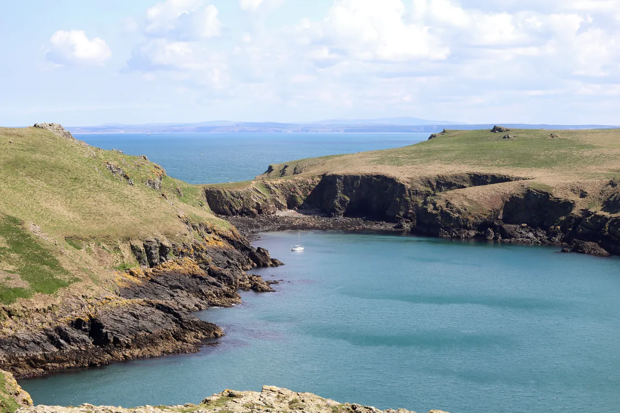 Skomer Island, Pembrokeshire