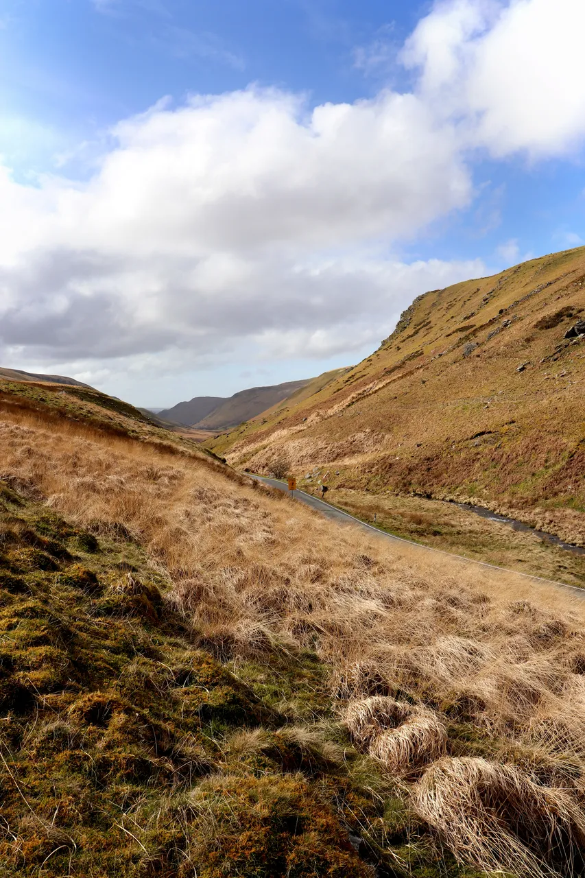 Cambrian Mountains