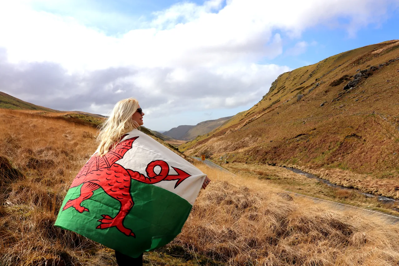 Cambrian Mountains