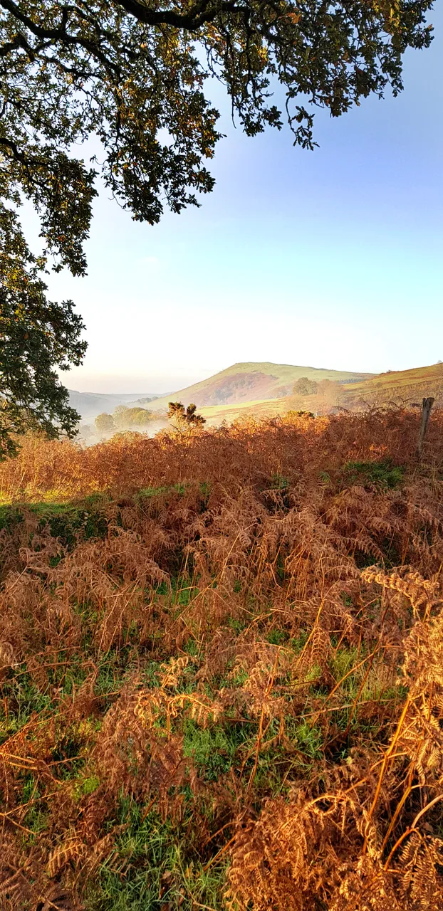 Cambrian Mountains