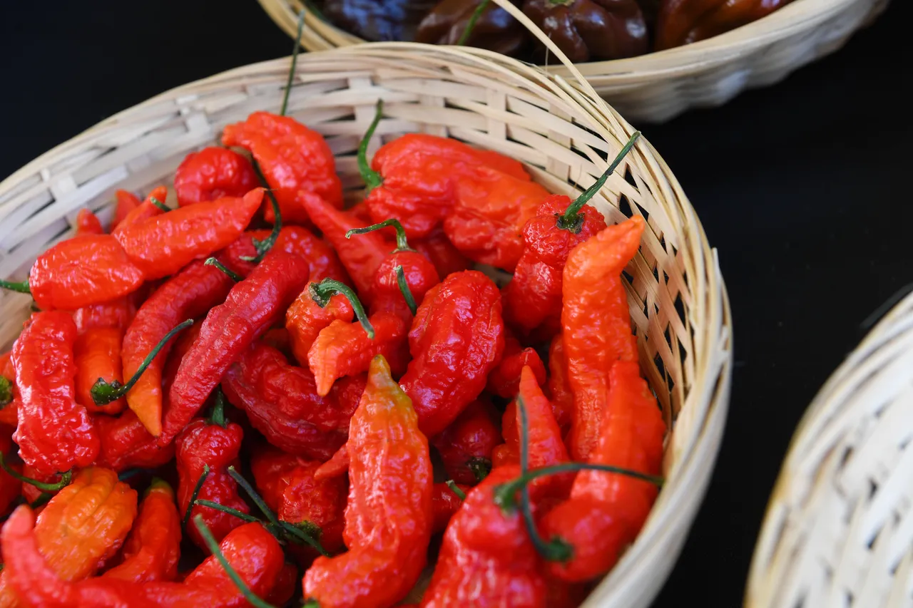 Abergavenny Food Festival