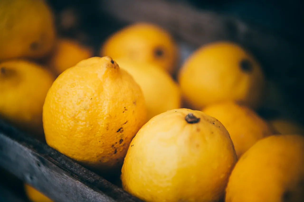 Narberth Food Festival 2019