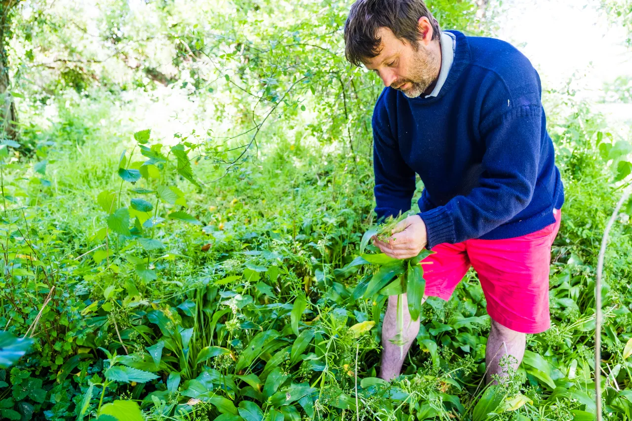 Foraging in Newport, Pembrokeshire