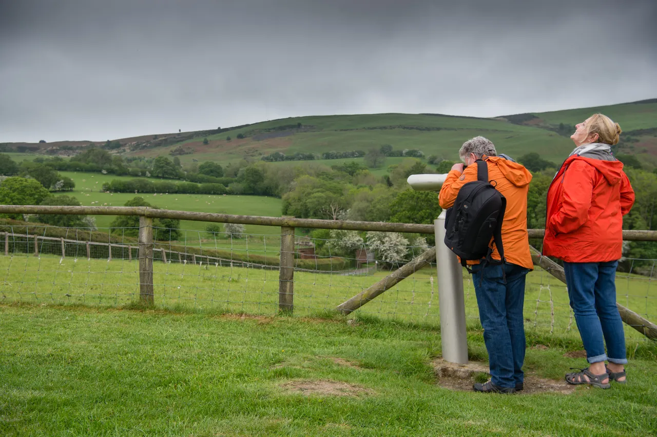 Red Kite Feeding Centre, Gigrin Farm