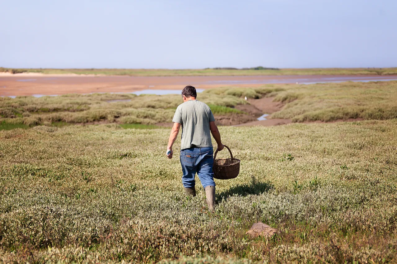 Coastal Foraging