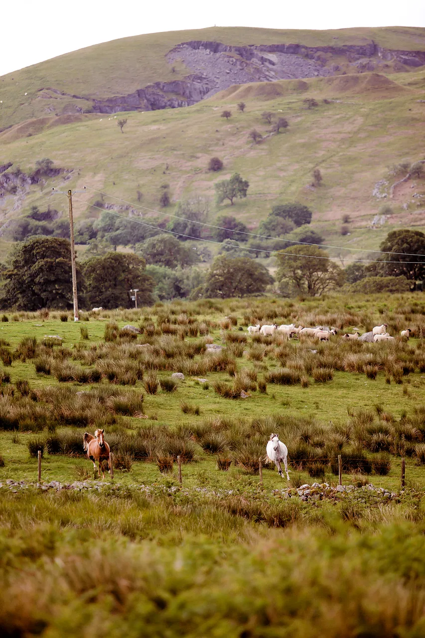 Penderyn Distillery