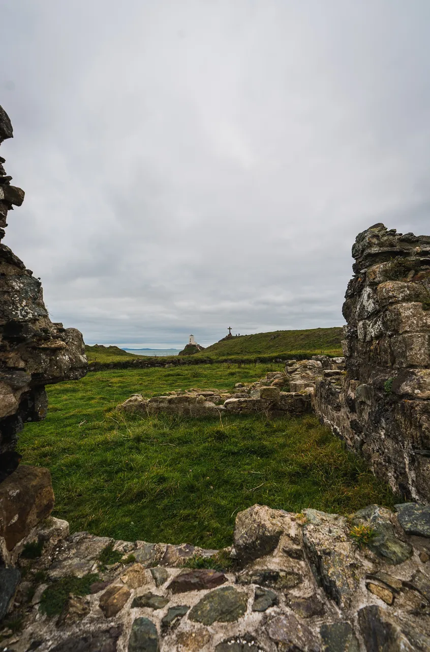 WCP_DSC08819