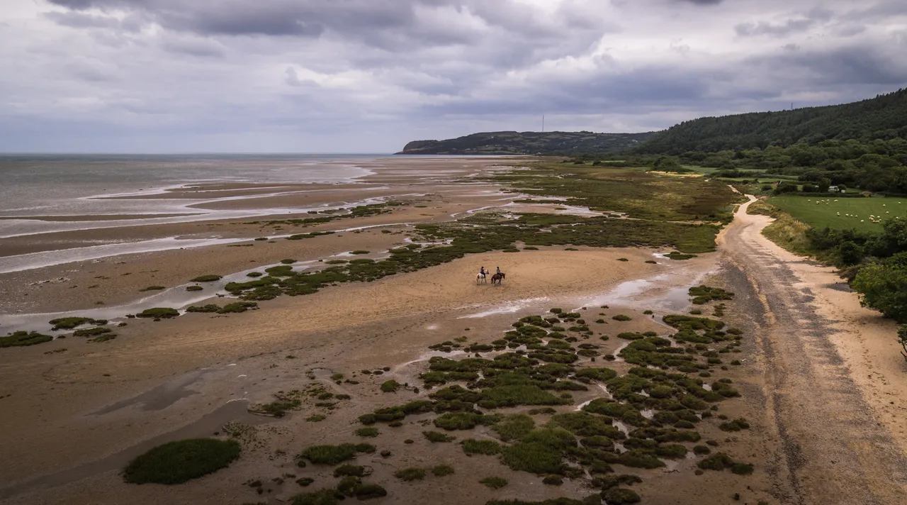 WCP_HORSES ON BEACH 2-1