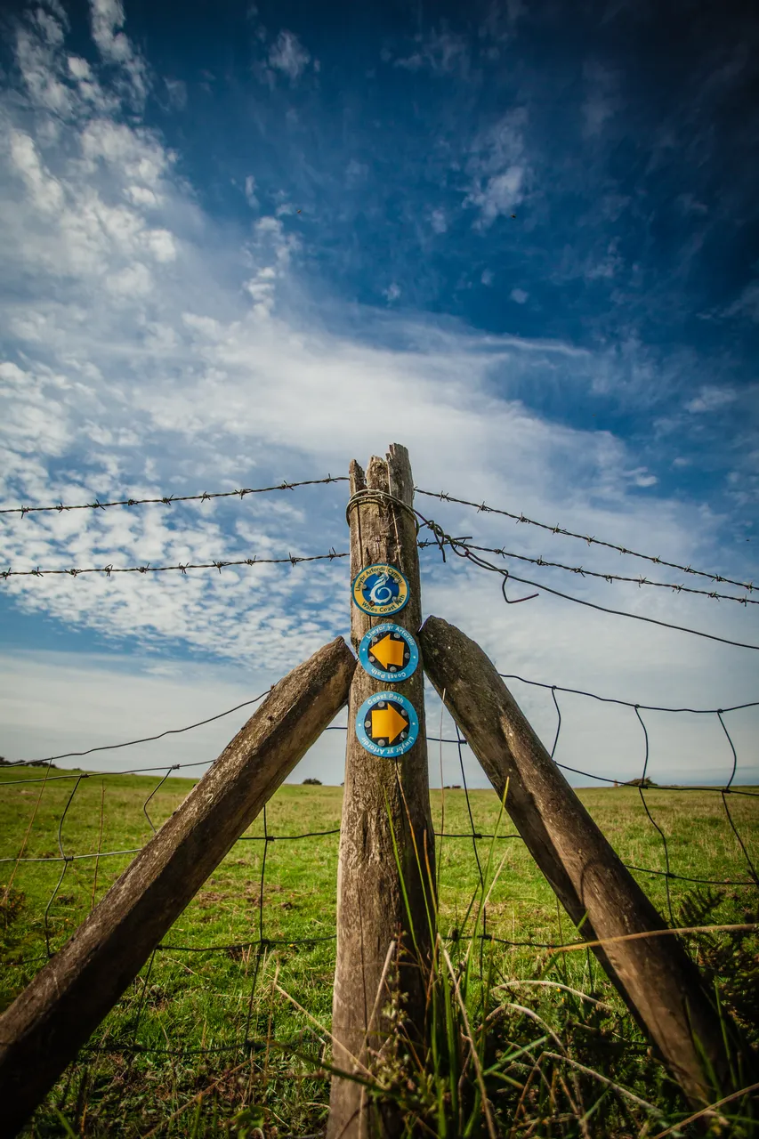WCP_MG_2656
