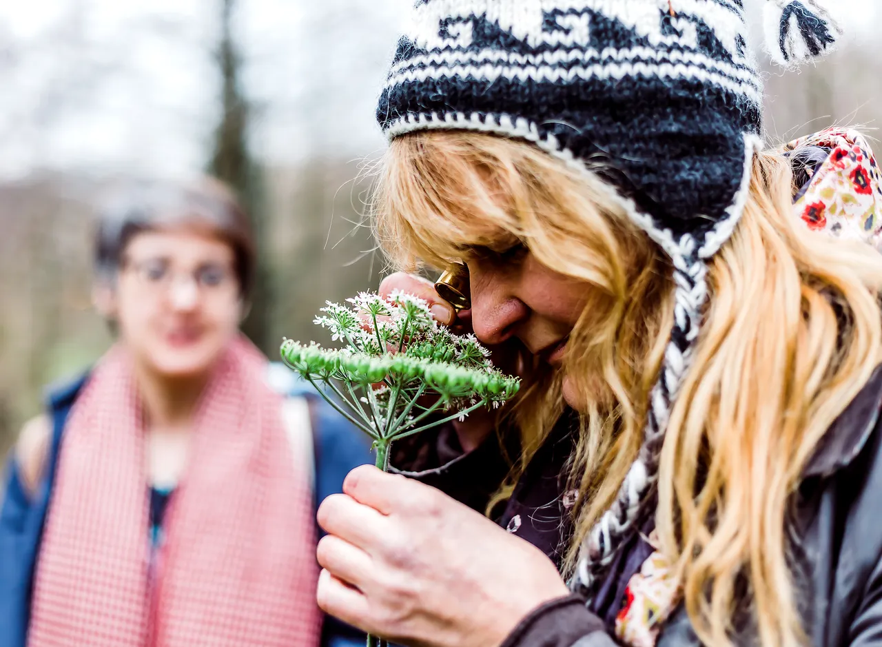 Foraging in Abergavenny