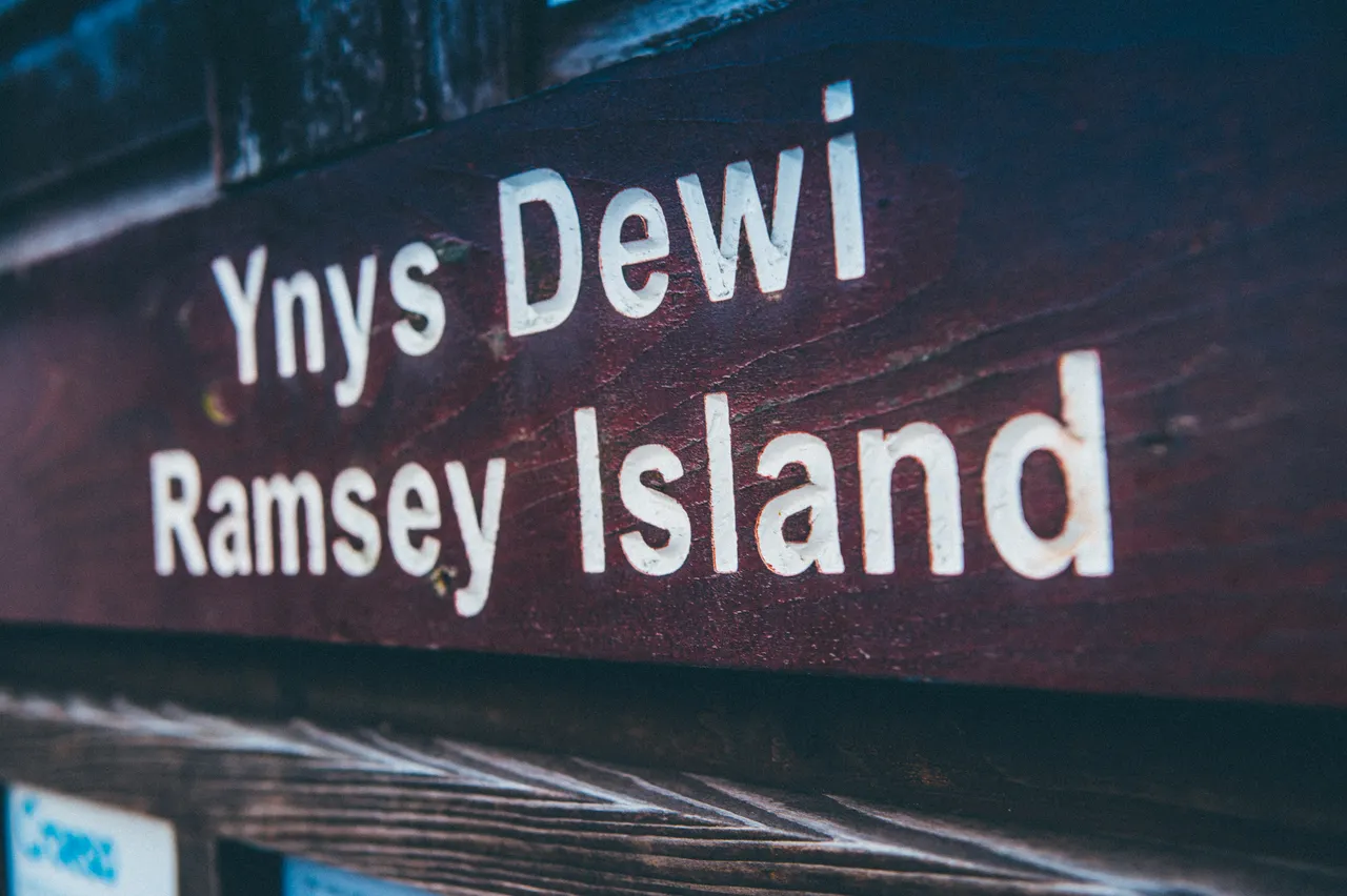Ramsay Island Boat Trips