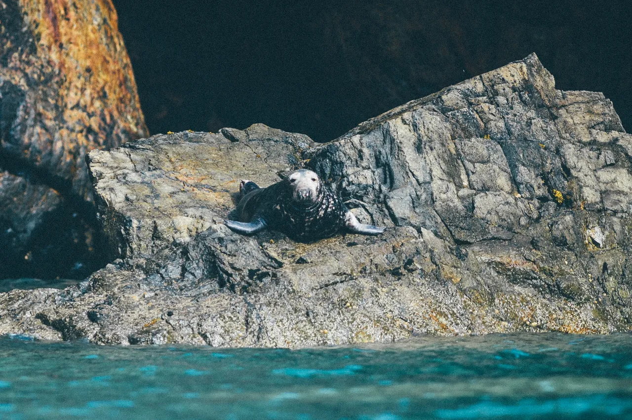 Ramsay Island Boat Trips