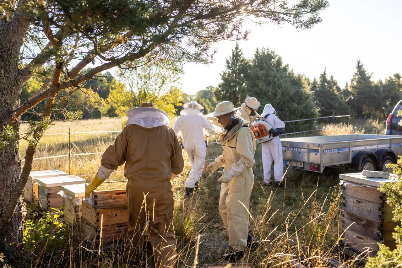 Beekeepers working