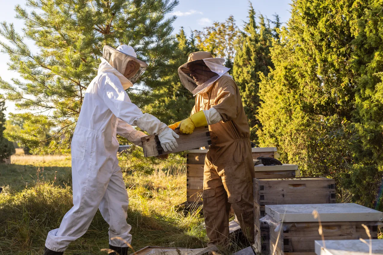 Beekeepers working