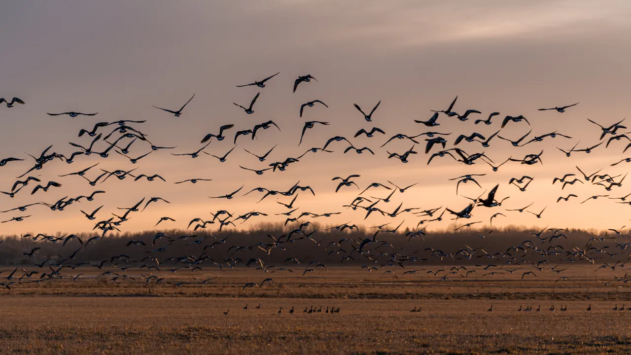 Matsalu National Park