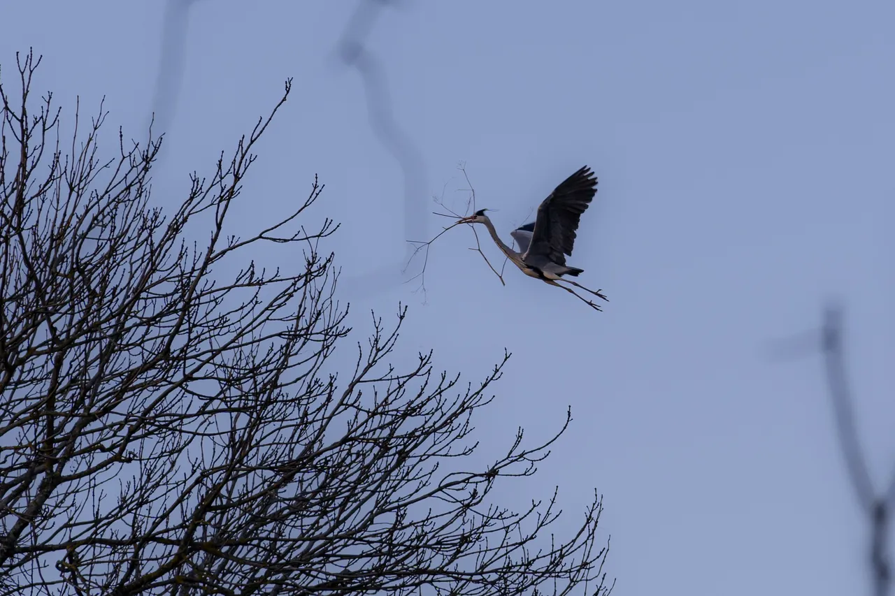 Matsalu National Park