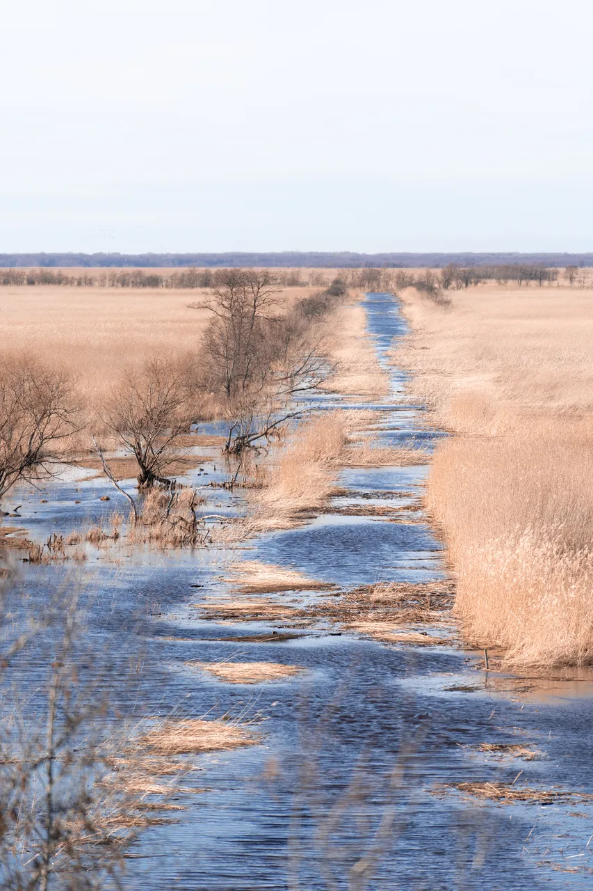 Matsalu National Park