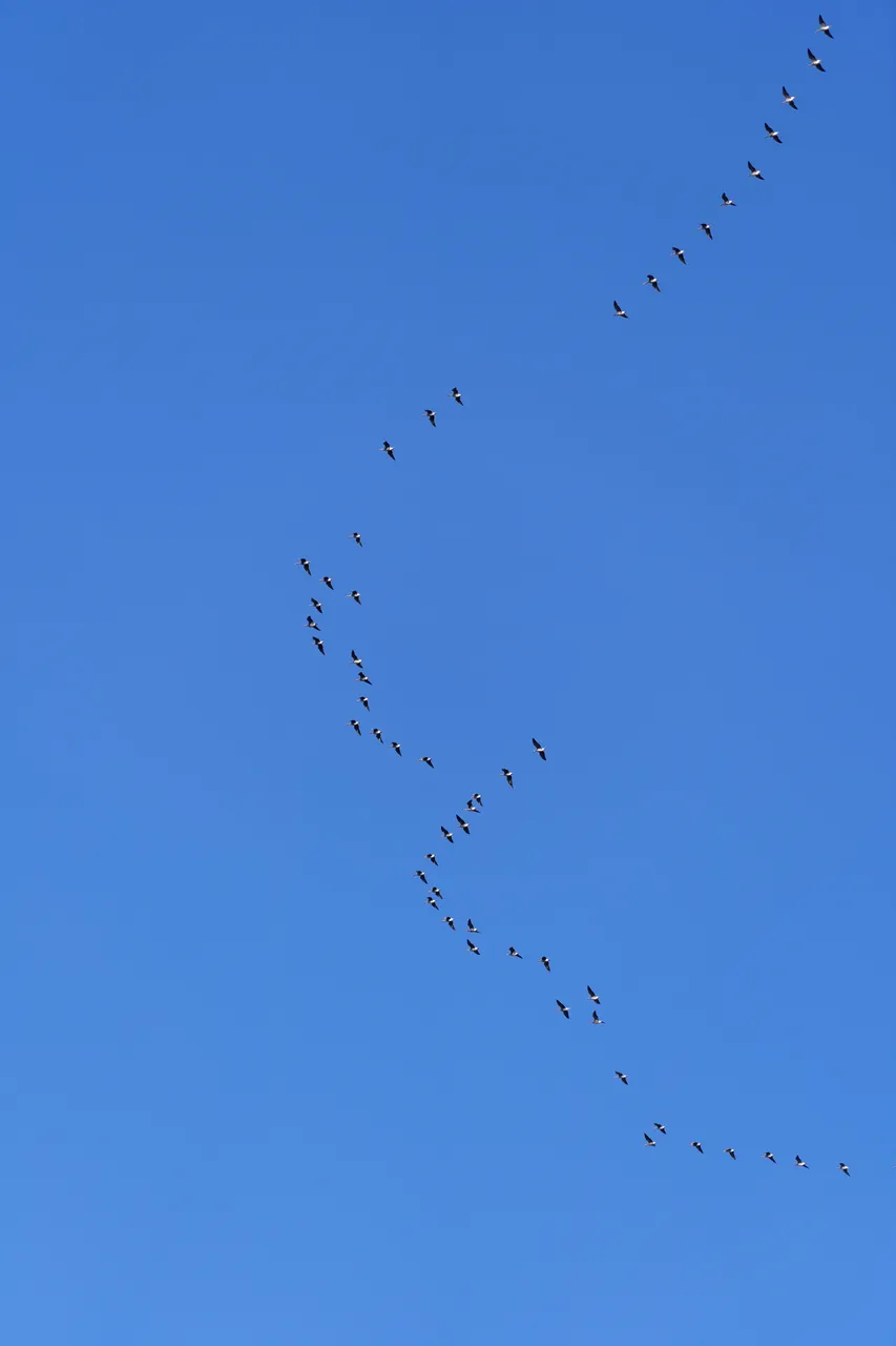 Matsalu National Park