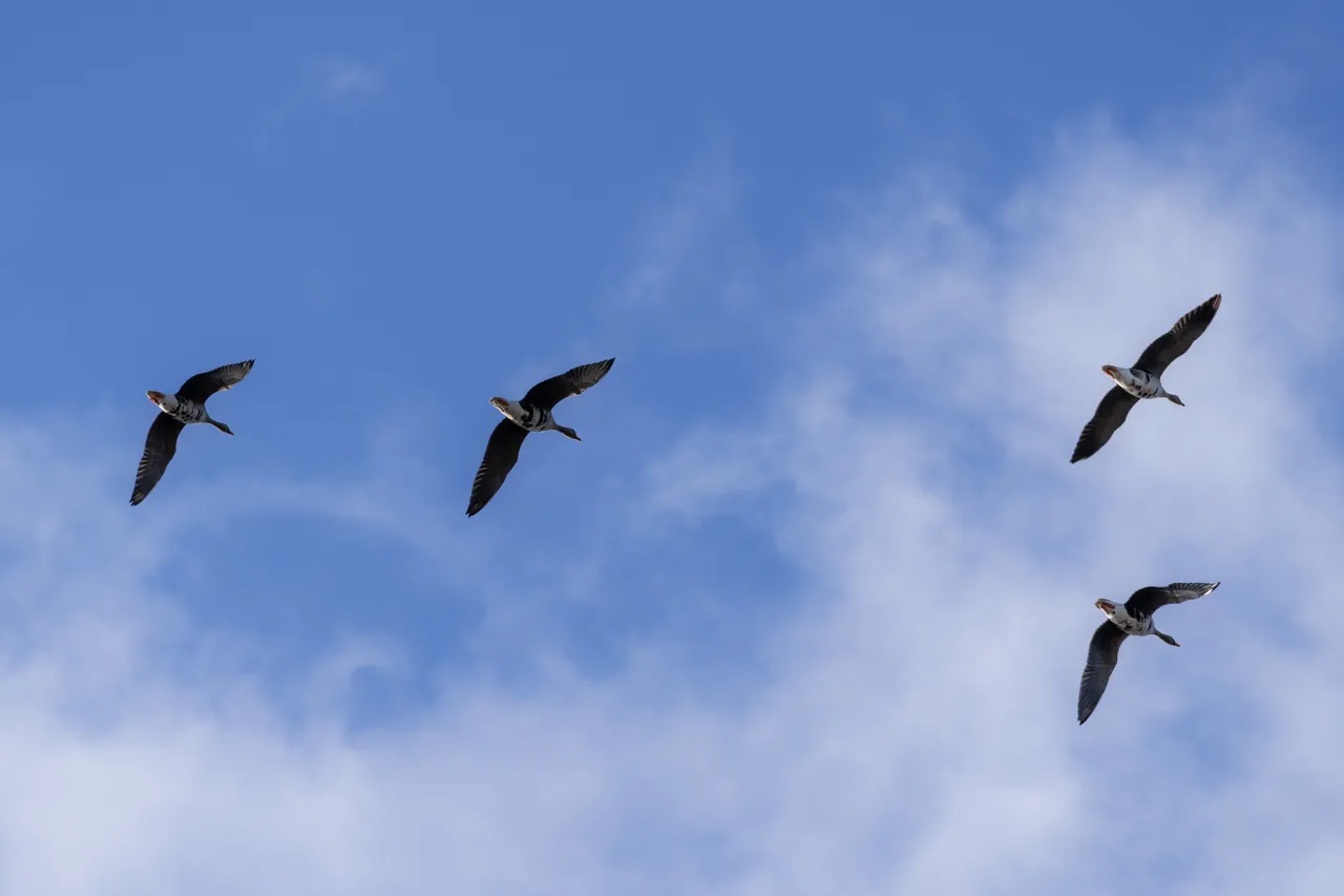 Matsalu National Park