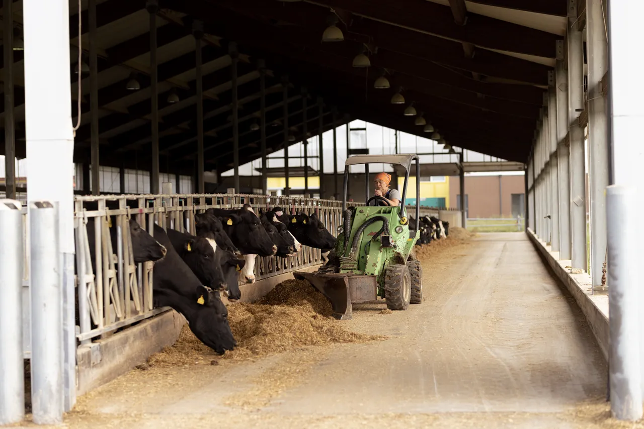 Biomethan production 