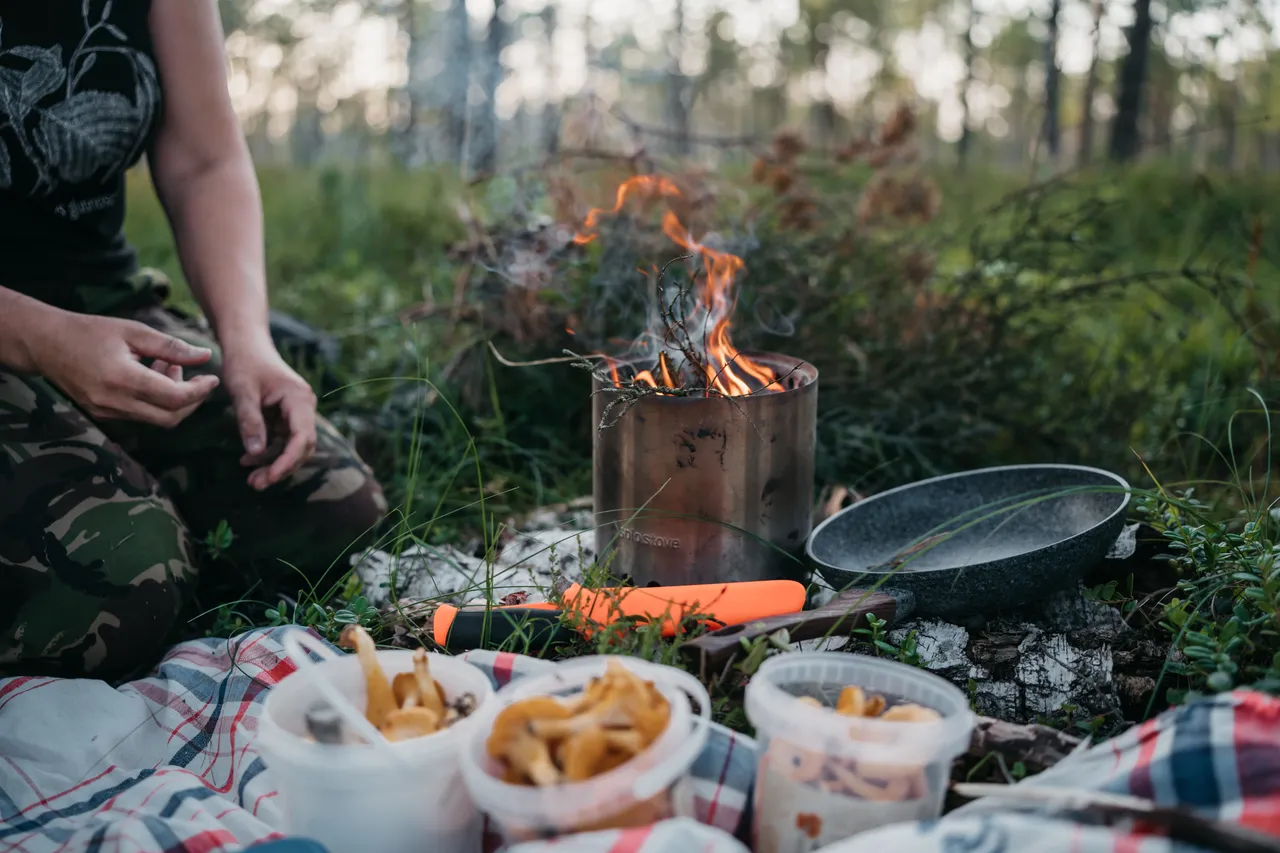 Emajõe-Suursoo bog hike