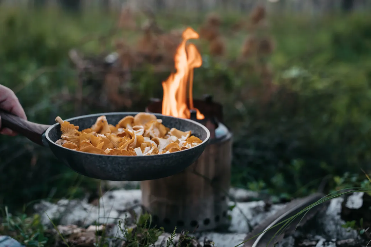 Emajõe-Suursoo bog hike