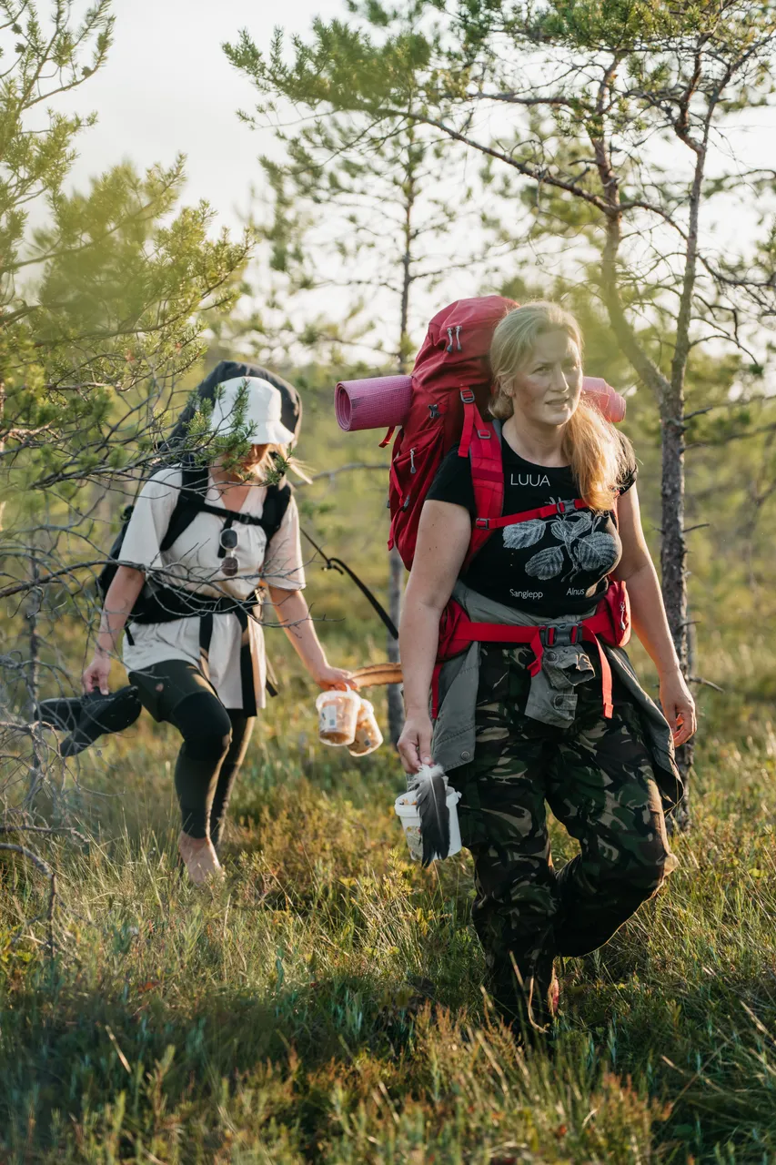 Emajõe-Suursoo bog hike