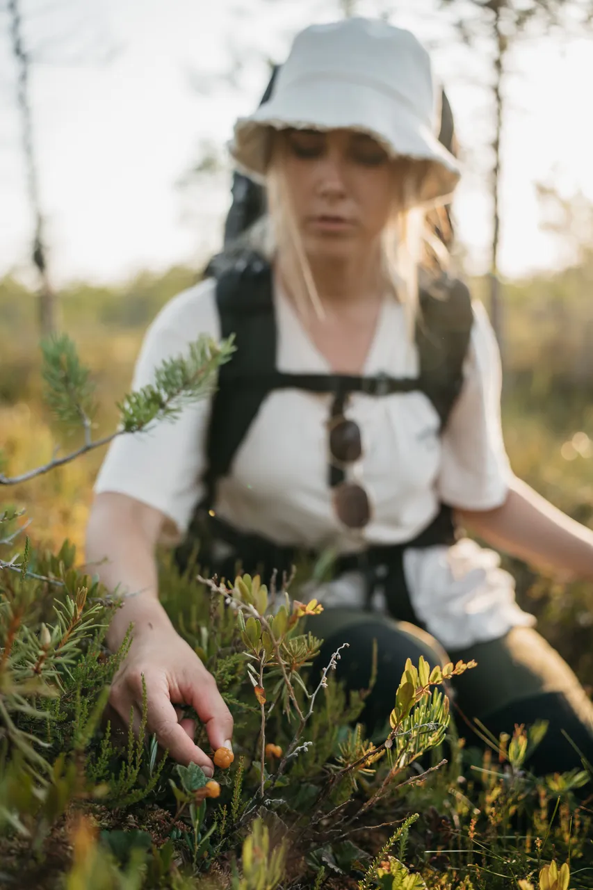 Emajõe-Suursoo bog hike