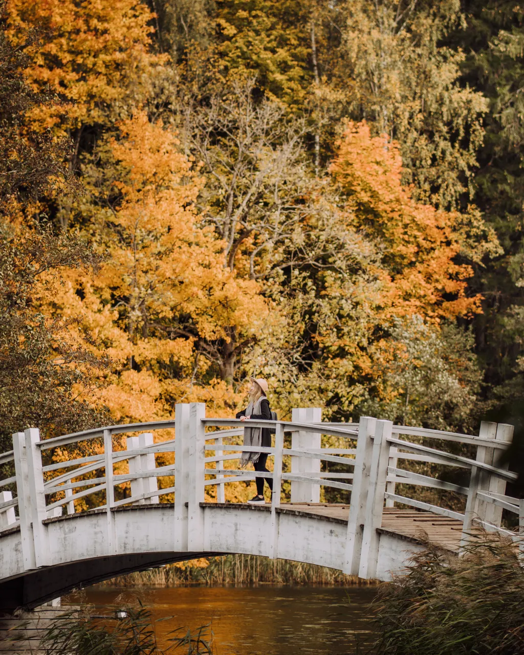 Alatskivi Castle hiking trail