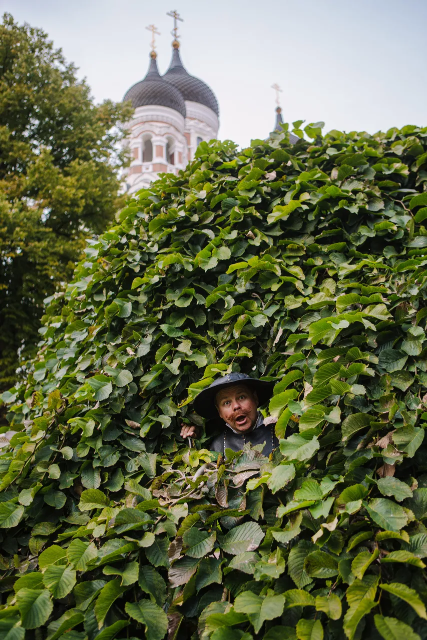 Interactive Medieval Game