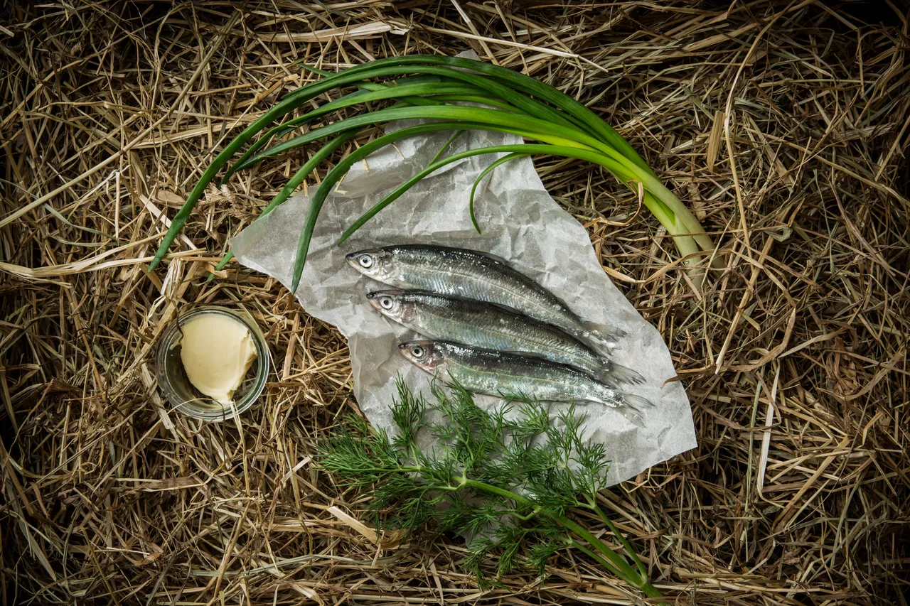 Grilled Vendace recipe