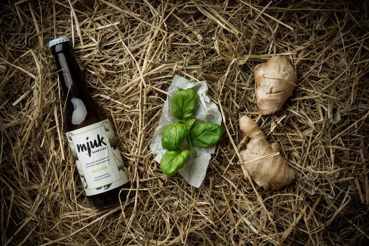 Ginger Kombucha recipe