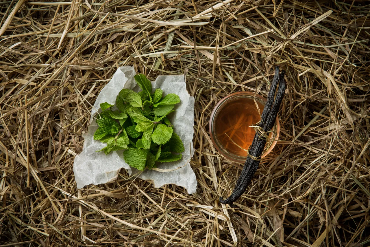 Rhubarb Lemonade recipe