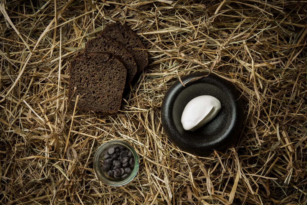Black Bread Soup recipe