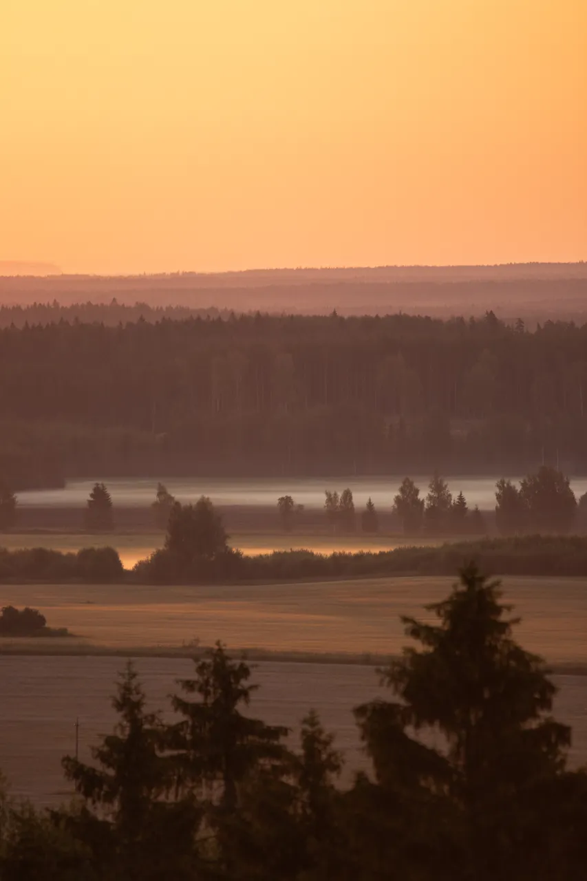 Iisaku observation tower