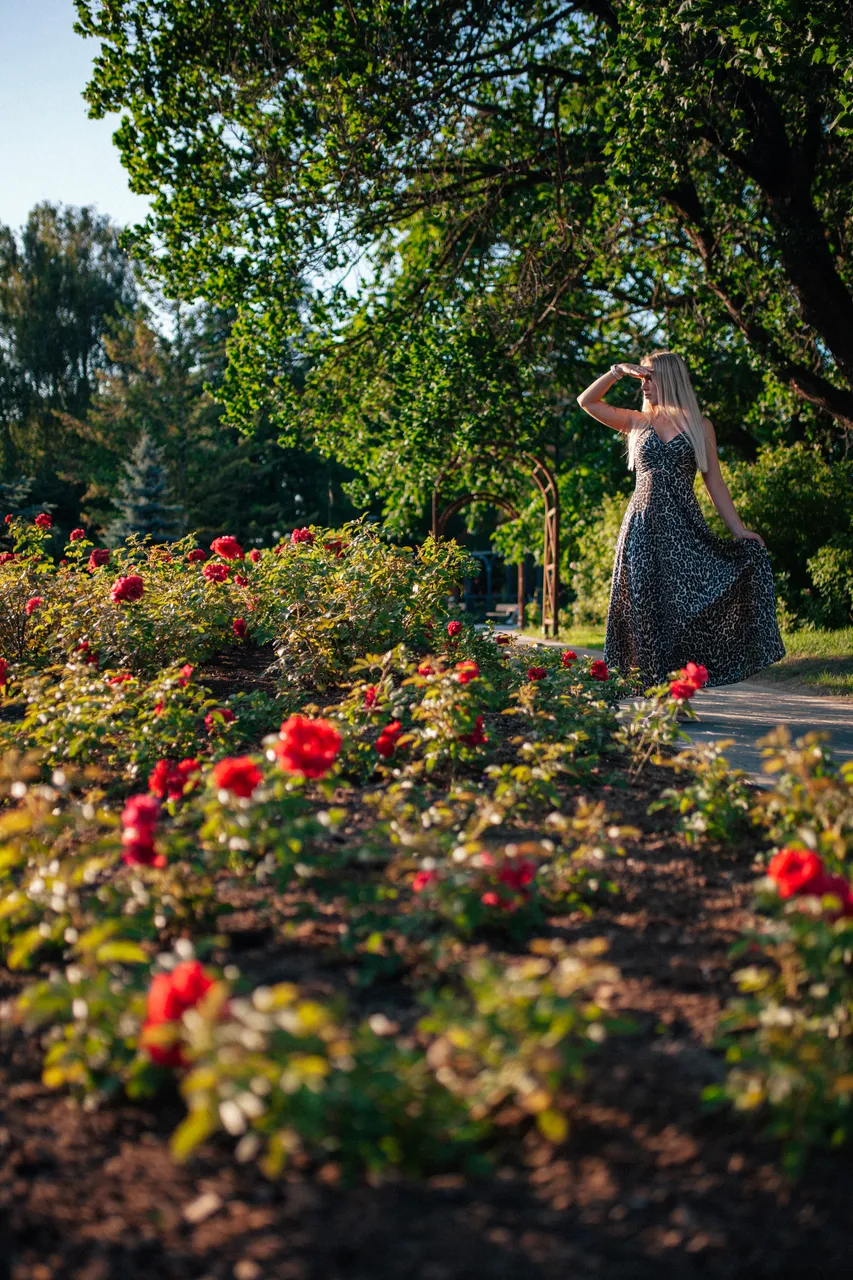 Põltsamaa Rose islet