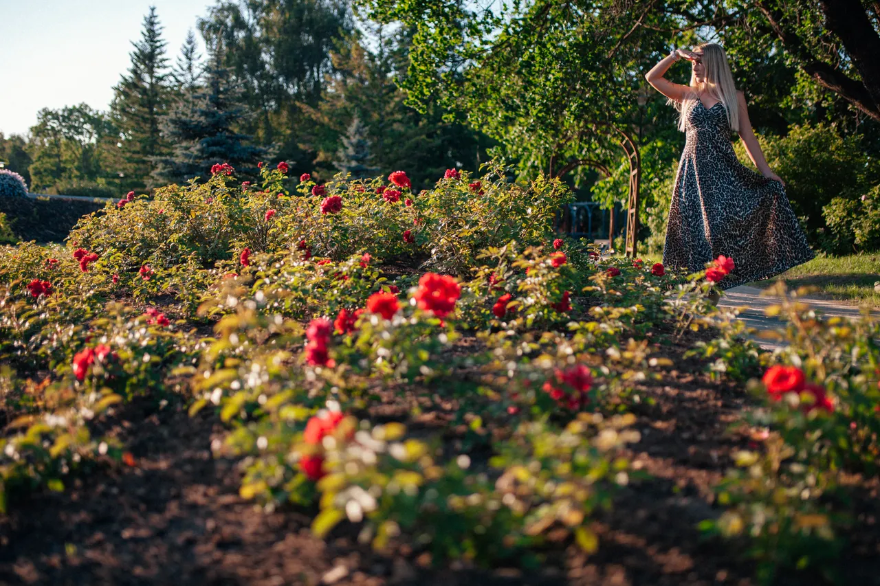 Põltsamaa Rose islet