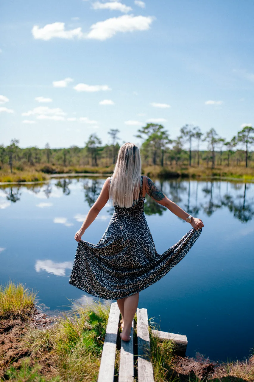 Kodru bog hiking track