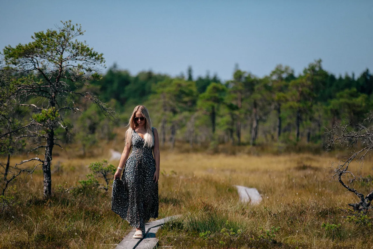 Kodru bog hiking track