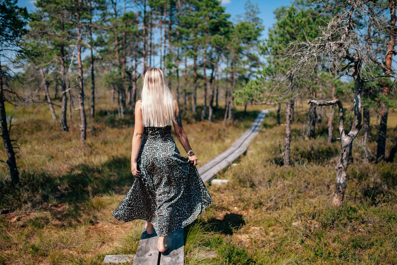 Kodru bog hiking track