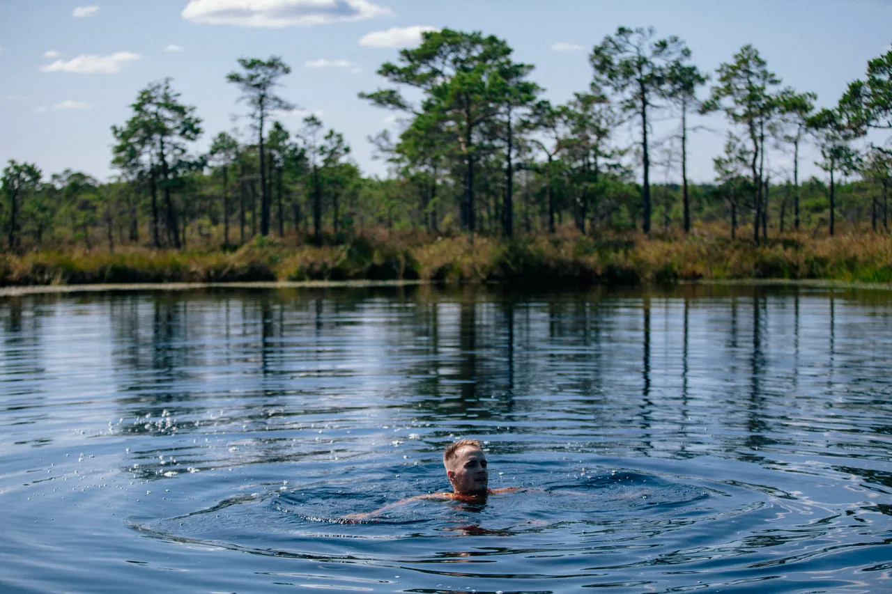 Kodru bog hiking track