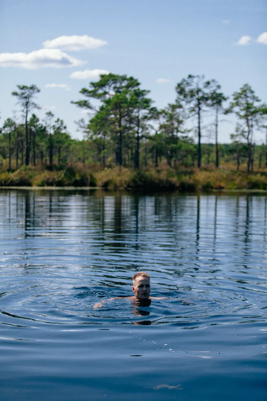 Kodru bog hiking track