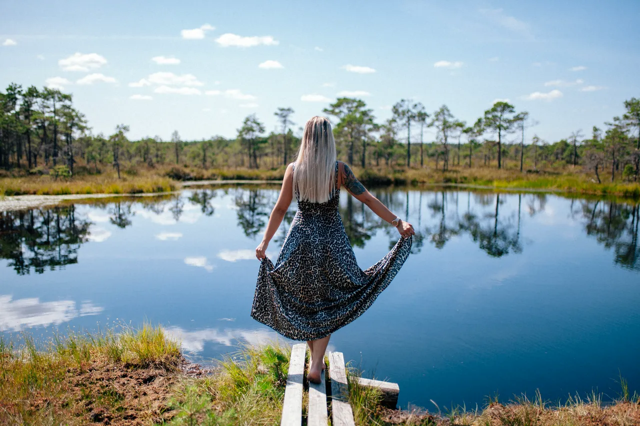 Kodru bog hiking track