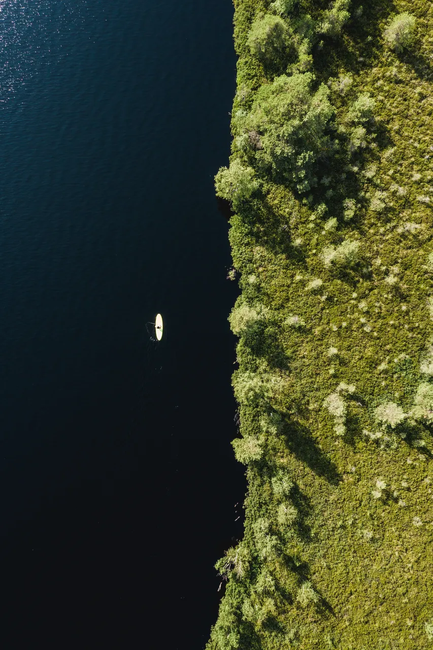 Saaremaa Koigi bog SUP