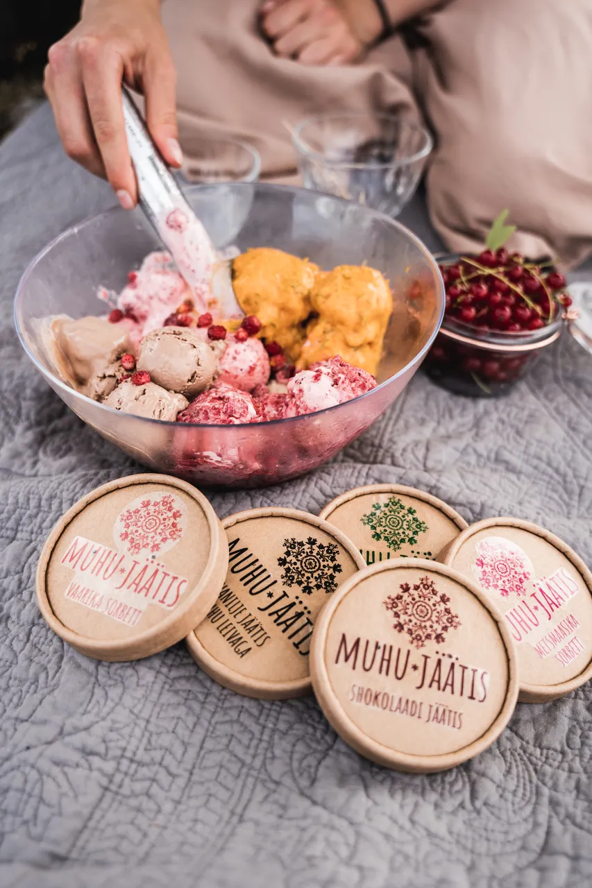 Muhu picnic on Üügu bluff