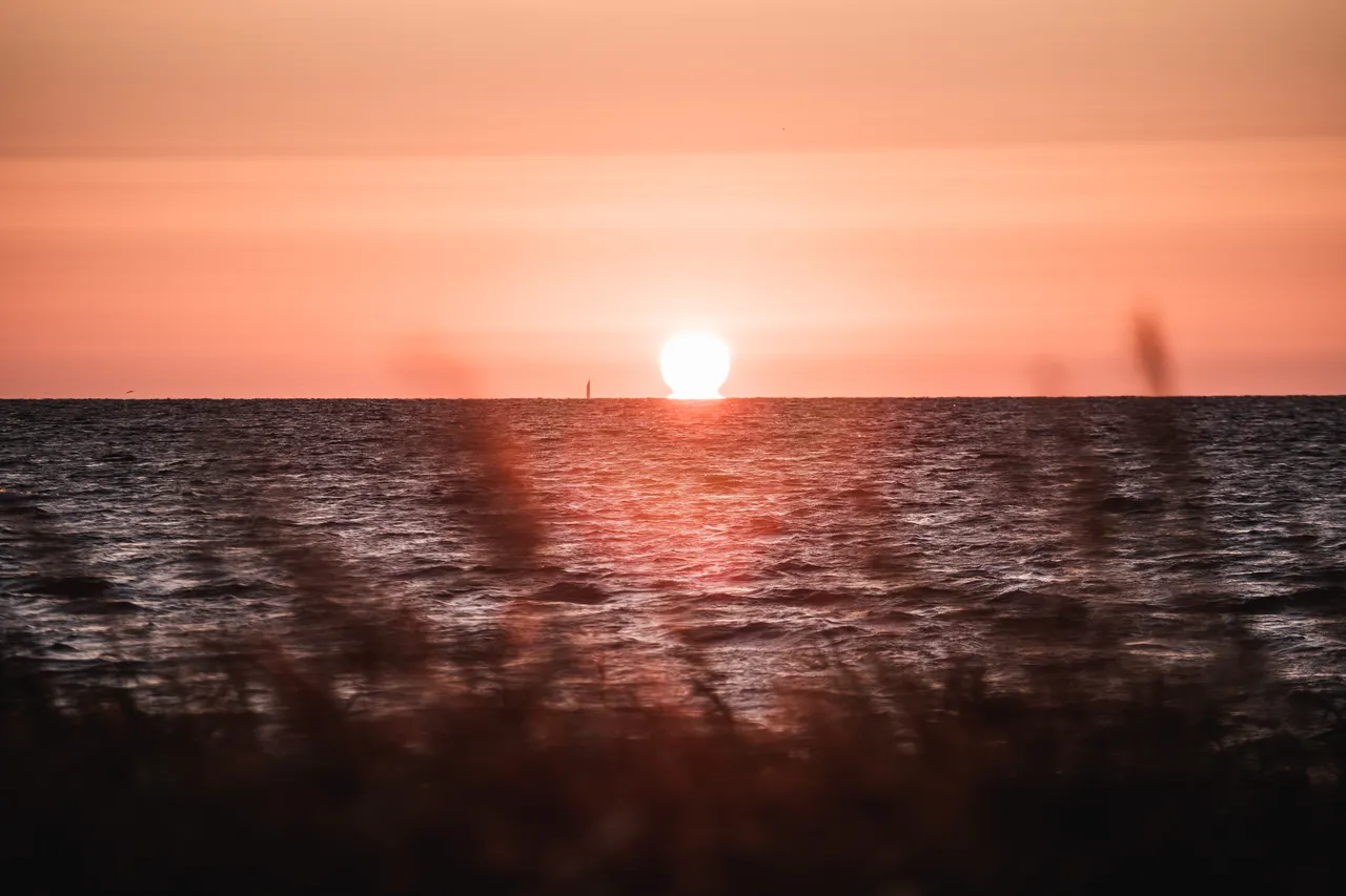 I Land Sound Festival